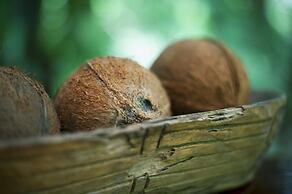 Congo Bongo EcoVillage Costa Rica
