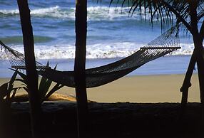 Congo Bongo EcoVillage Costa Rica