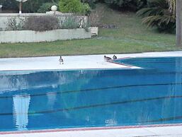 Sagú Hotel Boutique