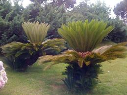 Sagú Hotel Boutique