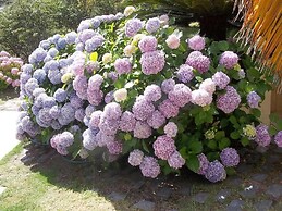 Sagú Hotel Boutique