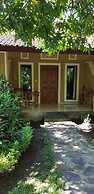 Mango Tree Inn