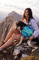 Storm Mountain Lodge Cabins & Dining