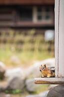 Storm Mountain Lodge Cabins & Dining