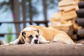 Storm Mountain Lodge Cabins & Dining