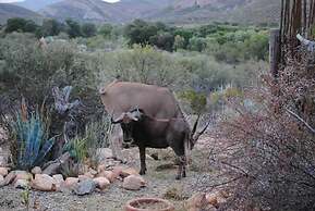 Zwartberg View Mountain Lodge