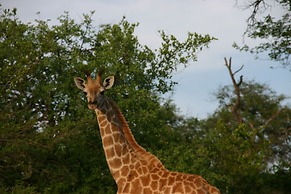 Zwartberg View Mountain Lodge
