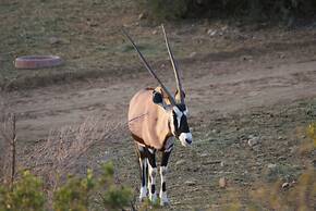 Zwartberg View Mountain Lodge