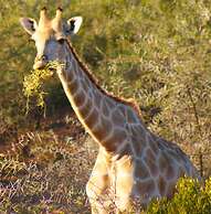 Zwartberg View Mountain Lodge