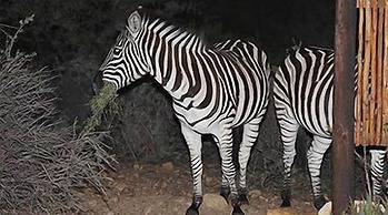 Zwartberg View Mountain Lodge