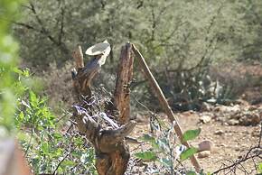 Zwartberg View Mountain Lodge