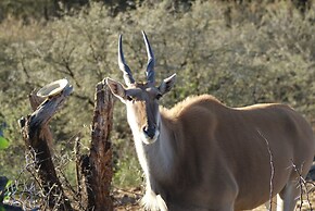 Zwartberg View Mountain Lodge