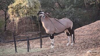 Zwartberg View Mountain Lodge