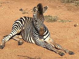 Zwartberg View Mountain Lodge