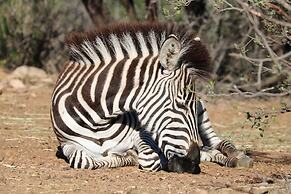 Zwartberg View Mountain Lodge