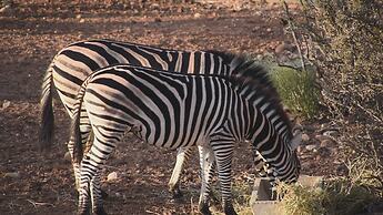Zwartberg View Mountain Lodge