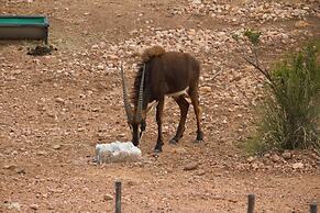 Zwartberg View Mountain Lodge