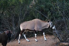 Zwartberg View Mountain Lodge