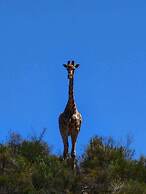 Zwartberg View Mountain Lodge