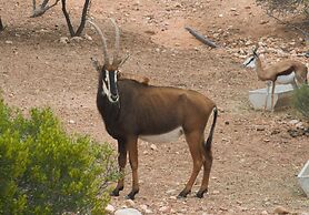 Zwartberg View Mountain Lodge