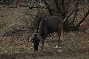 Zwartberg View Mountain Lodge
