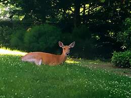 Rutgers University Inn and Conference Center