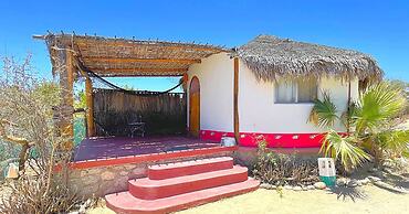 Palapas Ventana