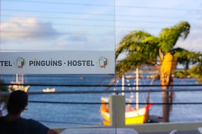 Pinguins Hostel