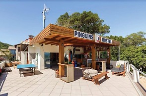 Pinguins Hostel