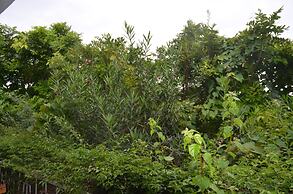 Hotel Restaurant Coté Sud