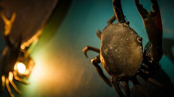 MeeTangNangNon Bed&Breakfast