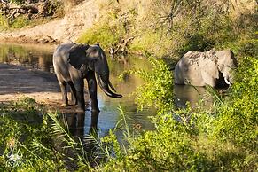 Inyati Game Lodge