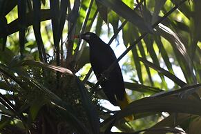 Hostal Jungle Lodge Tikal