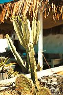 Sea Side Studios & Houses