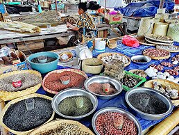 Coconut Garden Beach Resort