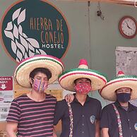 Hierba de Conejo - Hostel