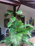 Peacock Wings Guest House