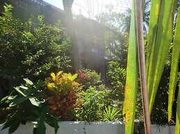 Peacock Wings Guest House