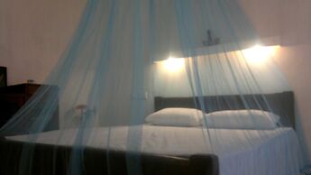 Peacock Wings Guest House