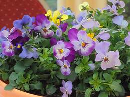 Hotel-Landgasthof Herzog