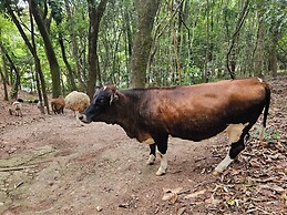 Hotel Fazenda Pirâmides