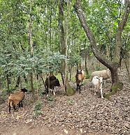 Hotel Fazenda Pirâmides