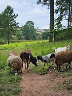 Hotel Fazenda Pirâmides