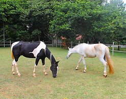Hotel Fazenda Pirâmides
