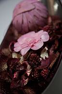 Color Suites Alicante