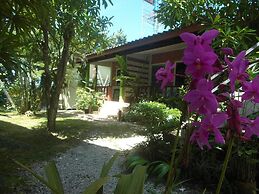 Wandee Bed and Breakfast - Hostel