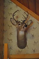 Horton Creek Inn B&B