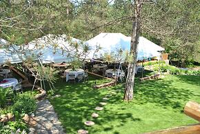 Horton Creek Inn B&B