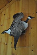 Horton Creek Inn B&B