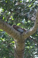 Talalla Bay Beach House